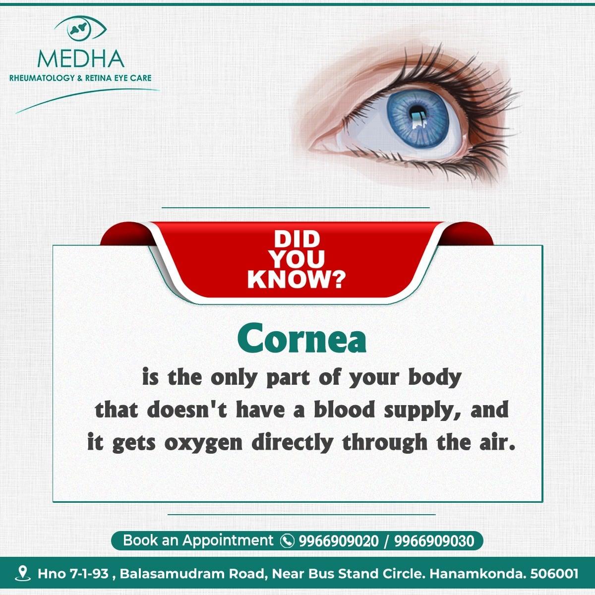 Facts About Cornea...